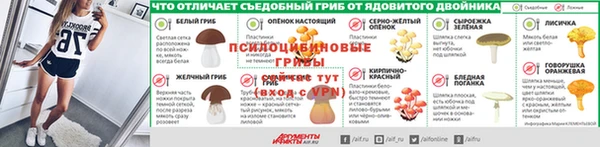 ПСИЛОЦИБИНОВЫЕ ГРИБЫ Бронницы
