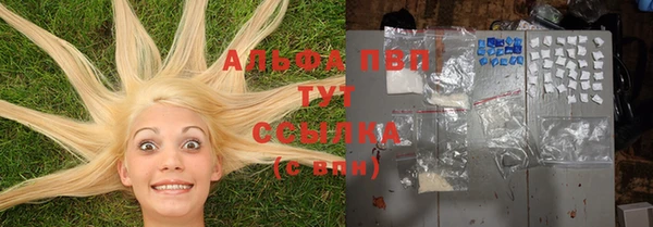 ПСИЛОЦИБИНОВЫЕ ГРИБЫ Бронницы