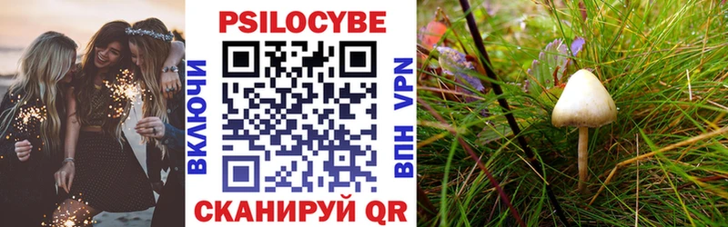 Купить  Лермонтов  Галлюциногенные грибы MAGIC MUSHROOMS 